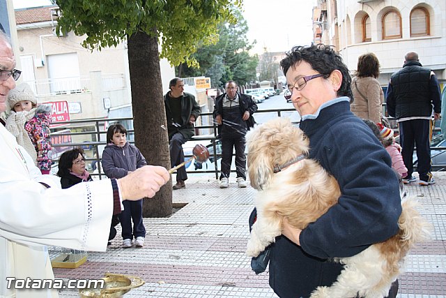 Bendicin animales - San Antn 2012 - 239