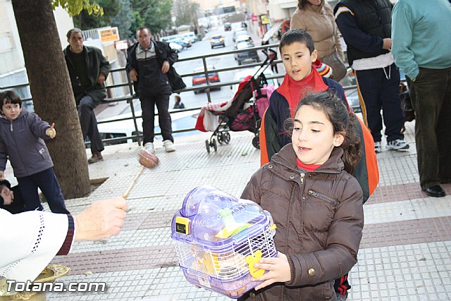 Bendicin animales - San Antn 2012 - 240