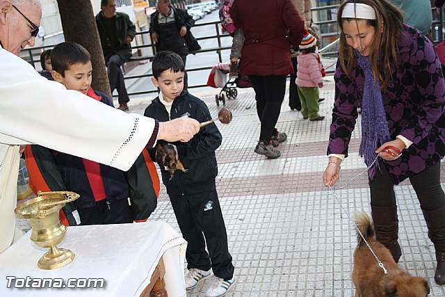 Bendicin animales - San Antn 2012 - 241