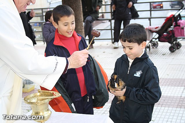 Bendicin animales - San Antn 2012 - 242