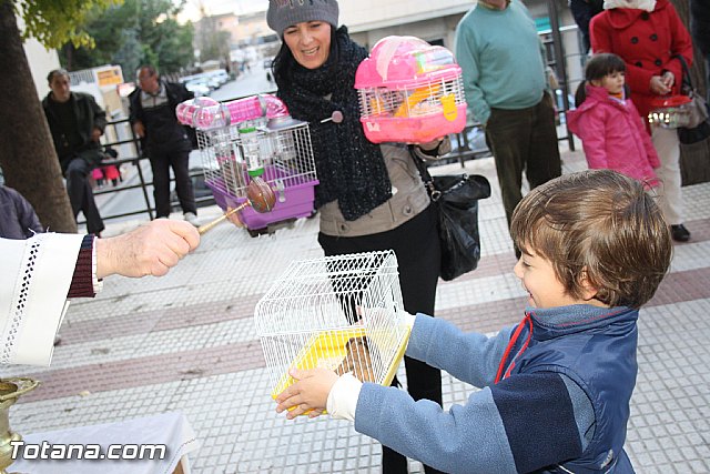 Bendicin animales - San Antn 2012 - 243