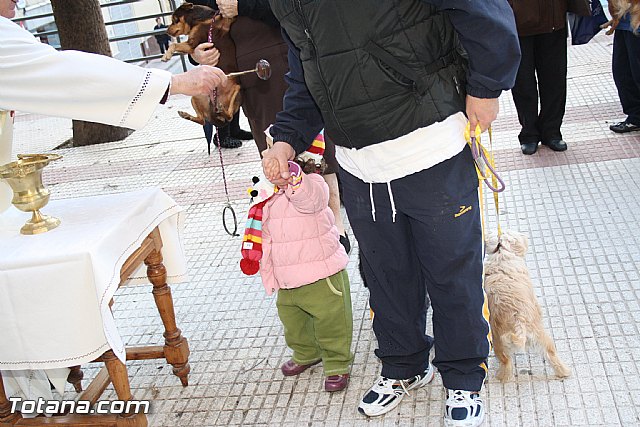Bendicin animales - San Antn 2012 - 246