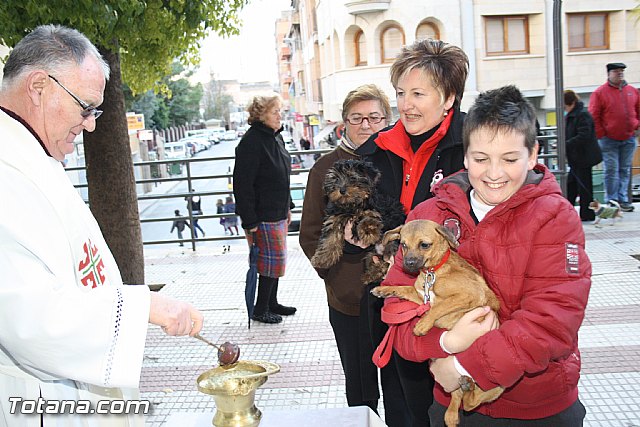 Bendicin animales - San Antn 2012 - 247