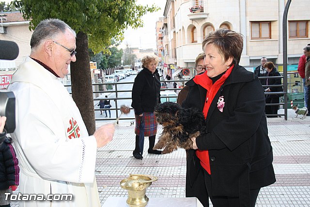 Bendicin animales - San Antn 2012 - 248