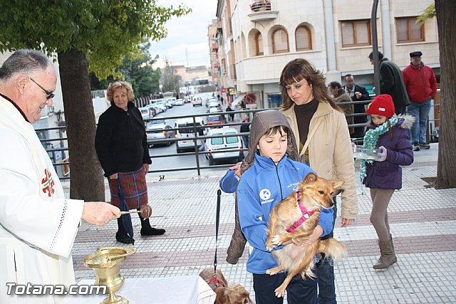 Bendicin animales - San Antn 2012 - 249