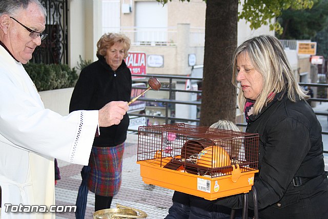 Bendicin animales - San Antn 2012 - 258