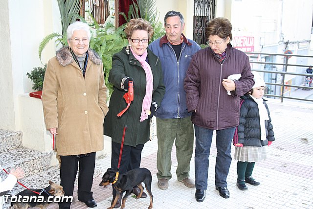 Bendicin animales - San Antn 2012 - 262