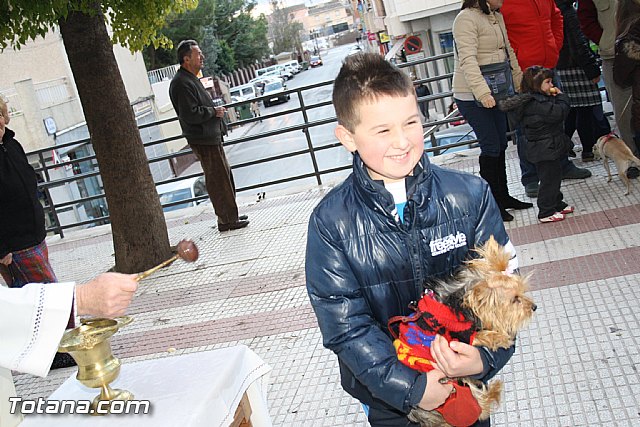 Bendicin animales - San Antn 2012 - 266
