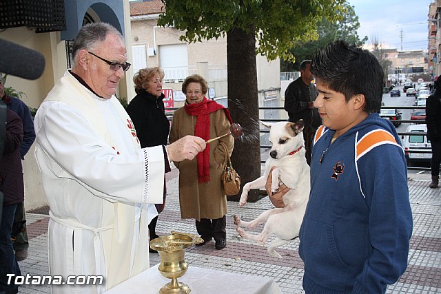 Bendicin animales - San Antn 2012 - 269