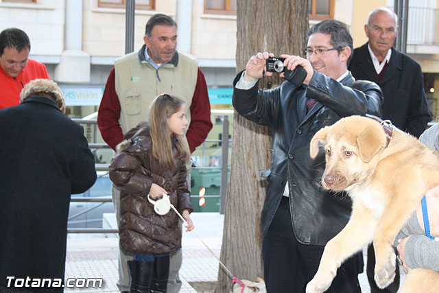 Bendicin animales - San Antn 2012 - 270
