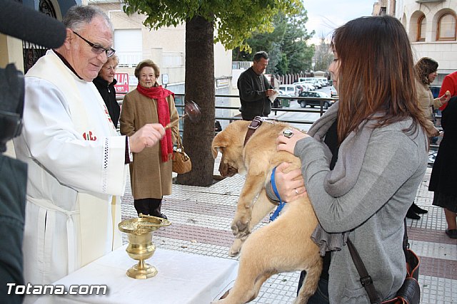 Bendicin animales - San Antn 2012 - 271