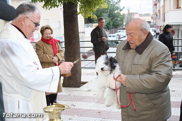 Bendicin animales - San Antn 2012 - 273