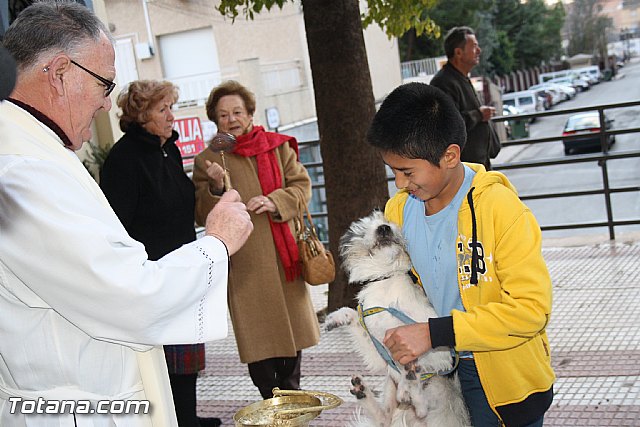 Bendicin animales - San Antn 2012 - 274