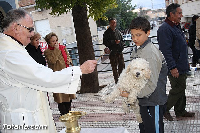 Bendicin animales - San Antn 2012 - 276