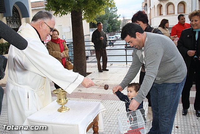 Bendicin animales - San Antn 2012 - 278