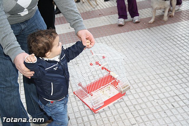 Bendicin animales - San Antn 2012 - 279