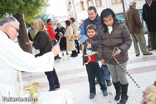 Bendicin animales - San Antn 2012 - 313