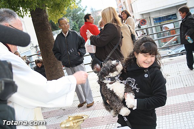 Bendicin animales - San Antn 2012 - 315