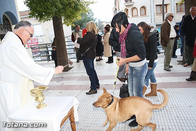 Bendicin animales - San Antn 2012 - 317