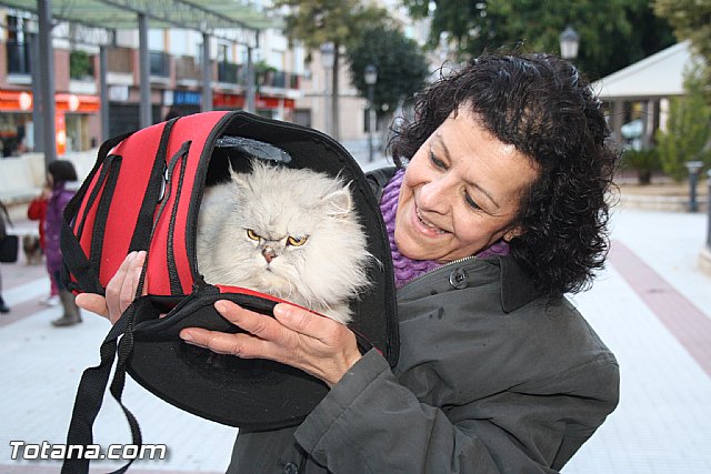 Bendicin animales - San Antn 2012 - 318