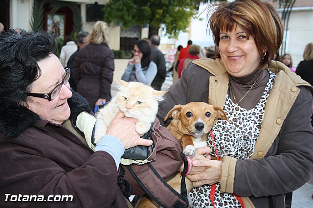 Bendicin animales - San Antn 2012 - 320