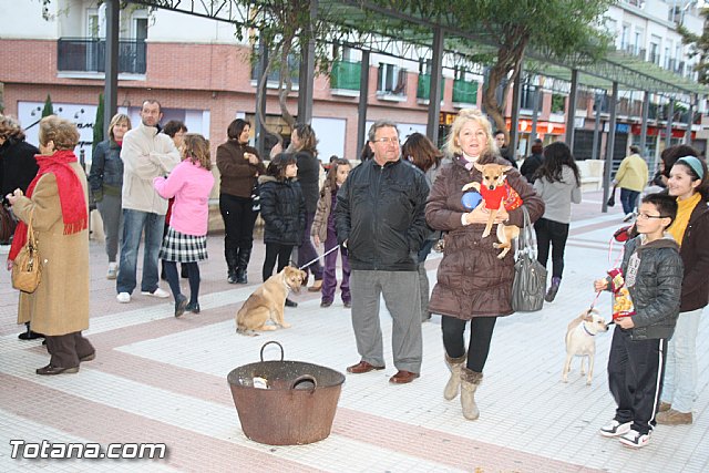 Bendicin animales - San Antn 2012 - 323