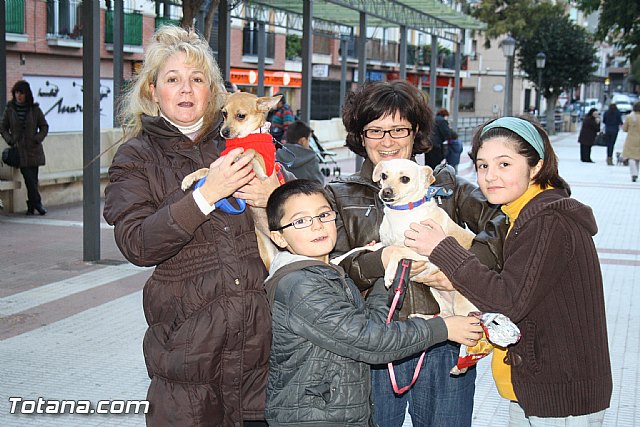 Bendicin animales - San Antn 2012 - 324