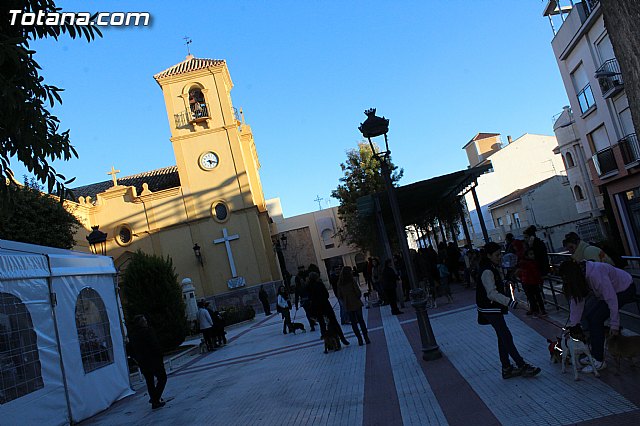 Bendicin animales San Antn 2015 - 2