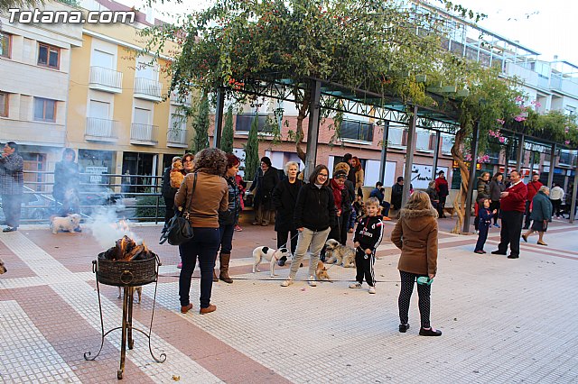 Bendicin animales San Antn 2015 - 4