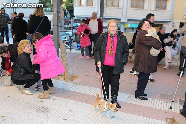 Bendicin animales San Antn 2015 - 7