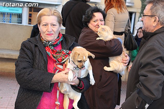 Bendicin animales San Antn 2015 - 9