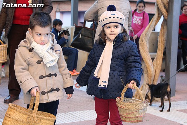 Bendicin animales San Antn 2015 - 10