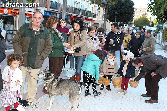 Bendicin animales San Antn 2015 - 39