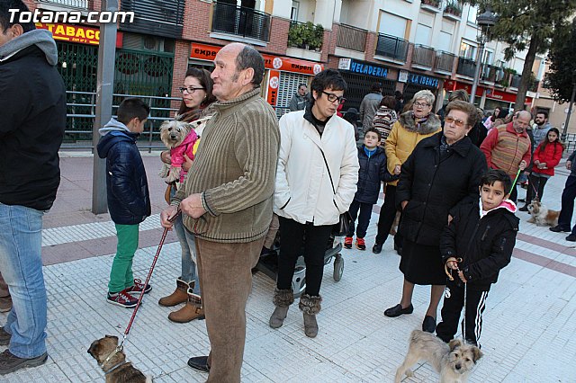 Bendicin animales San Antn 2015 - 47