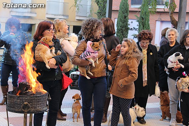 Bendicin animales San Antn 2015 - 57