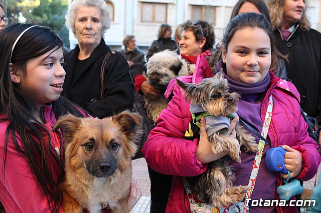 Bendicin animales San Antn 2015 - 69