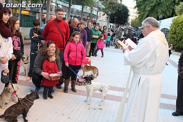 Bendicin animales San Antn 2015 - 72