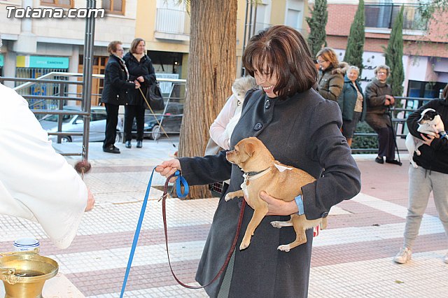 Bendicin animales San Antn 2015 - 78