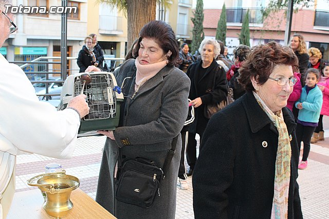 Bendicin animales San Antn 2015 - 80