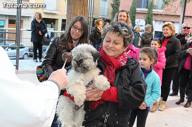 Bendicin animales San Antn 2015 - 83