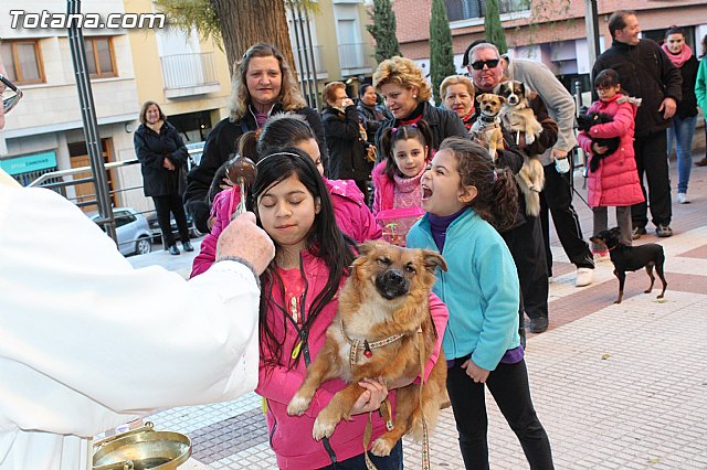 Bendicin animales San Antn 2015 - 85