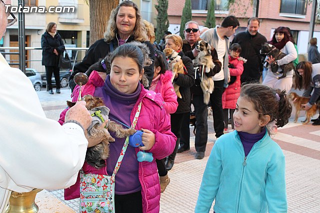 Bendicin animales San Antn 2015 - 86