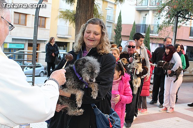 Bendicin animales San Antn 2015 - 87