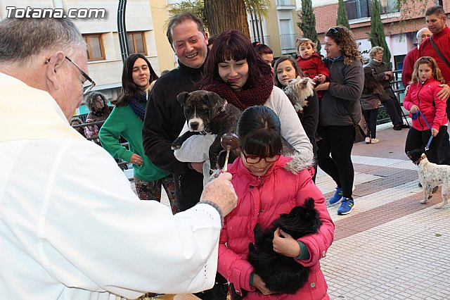 Bendicin animales San Antn 2015 - 92