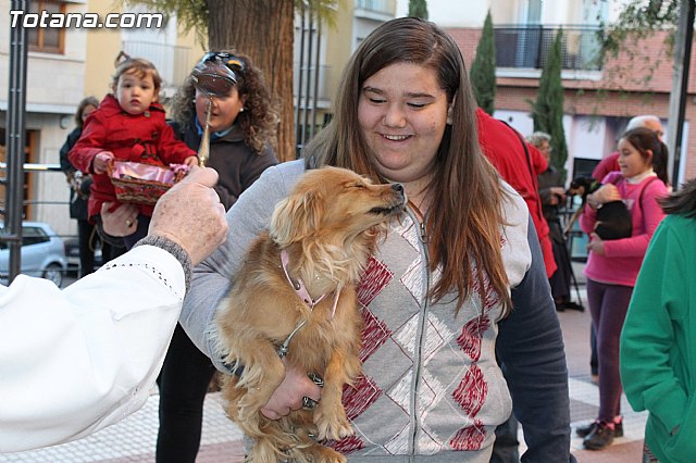 Bendicin animales San Antn 2015 - 94