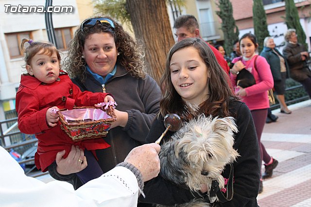 Bendicin animales San Antn 2015 - 95
