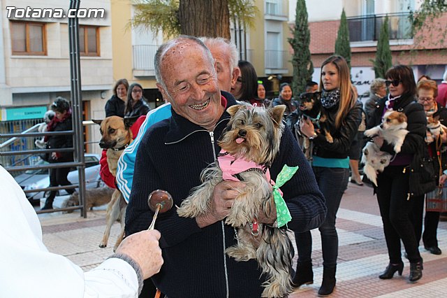 Bendicin animales San Antn 2015 - 100