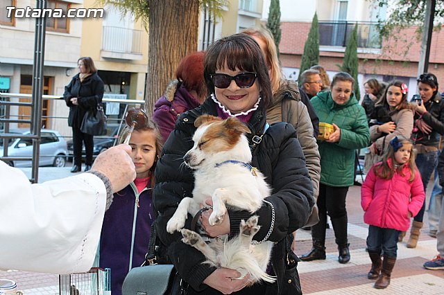 Bendicin animales San Antn 2015 - 107