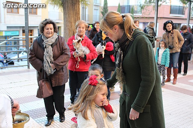 Bendicin animales San Antn 2015 - 118