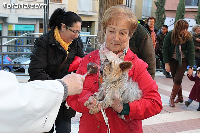 Bendicin animales San Antn 2015 - 120